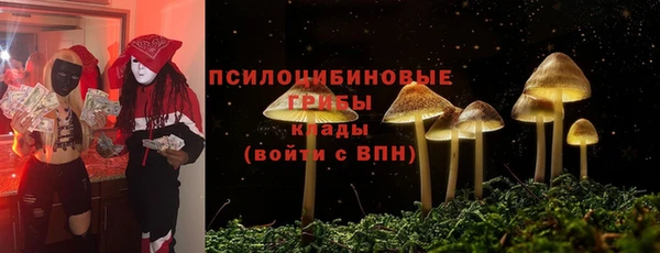 индика Майский
