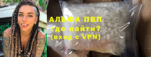 индика Майский