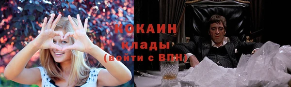 прущие крисы Магадан