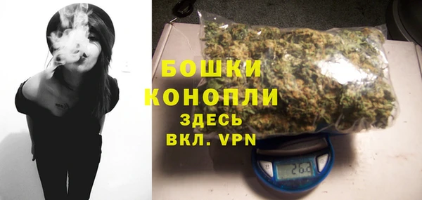 индика Магас