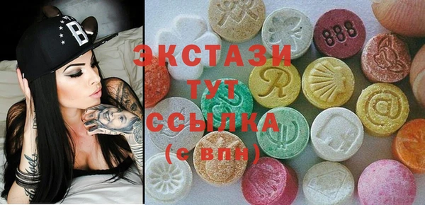 индика Магас