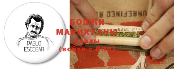 индика Магас