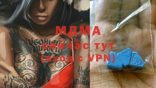 индика Майский