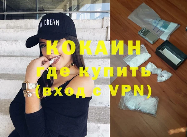 индика Магас
