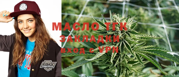 индика Магас