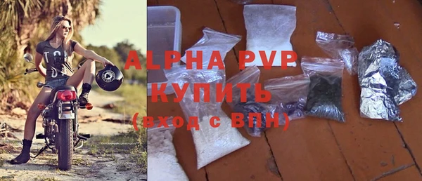 индика Майский