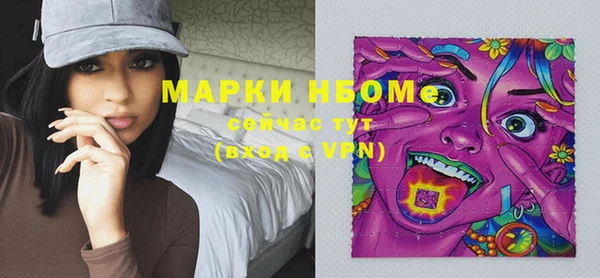 индика Магас