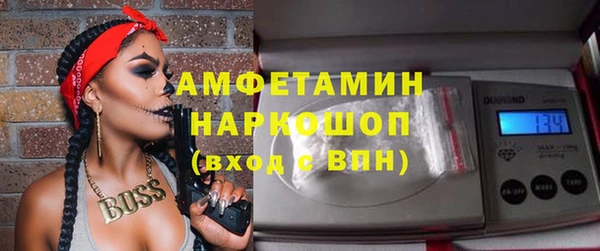 индика Магас