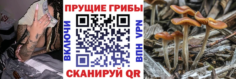 Псилоцибиновые грибы Cubensis  хочу   MEGA ССЫЛКА  Туймазы 